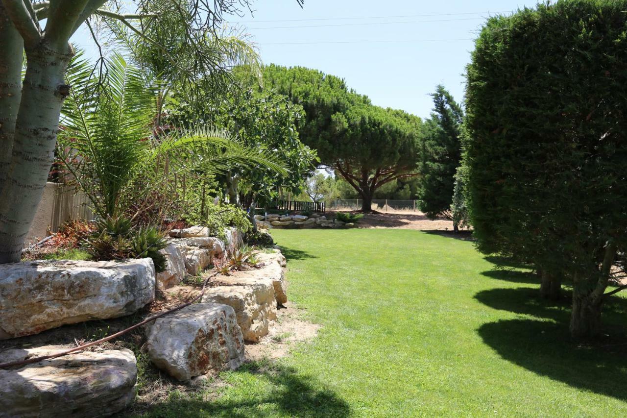 Quinta Do Pinheiro Manso - Holidays Villa - Marinha Beach Карвоейру Екстер'єр фото