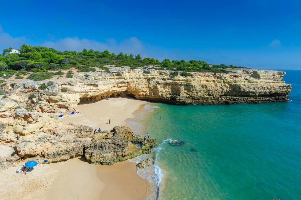 Quinta Do Pinheiro Manso - Holidays Villa - Marinha Beach Карвоейру Екстер'єр фото